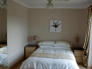 The Bedrooms at Cwmbach Guest House