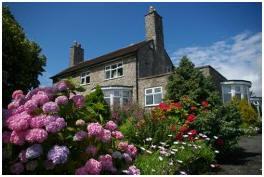 The Down Inn