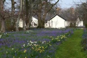 The Bedrooms at Plas Dinas Country House