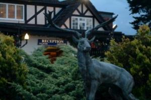 The Bedrooms at The Royal Chace Hotel