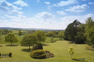 The Bedrooms at Rumwell Manor Hotel