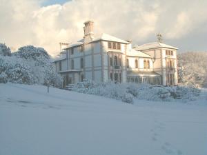 The Bedrooms at Falcondale Mansion Hotel