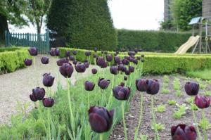 The Bedrooms at Hob Green Hotel Restaurant and Gardens