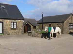 Clyne Farm Centre