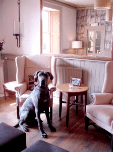 The Bedrooms at The Somerset Arms