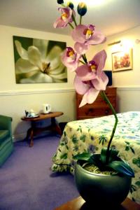 The Bedrooms at The Walnut Tree