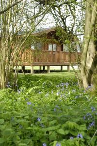 The Bedrooms at South Winchester Lodges