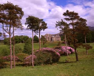 The Bedrooms at Inverlochy Castle Hotel