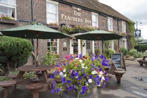 Feathers Inn