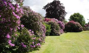 The Bedrooms at Mellington Hall Hotel