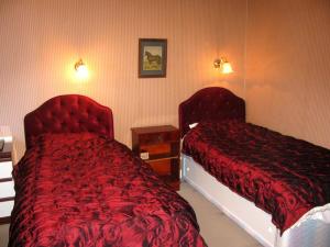 The Bedrooms at St. Winifreds Hotel