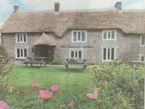 Thatched Cottage