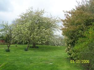 The Bedrooms at Latchmead Bed and Breakfast