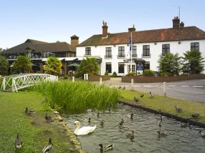 The Bedrooms at Best Western Frensham Pond Hotel