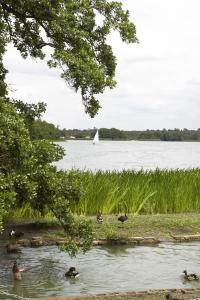 The Bedrooms at Best Western Frensham Pond Hotel