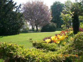 The Bedrooms at Hedgefield House Hotel