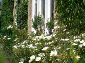 The Bedrooms at Hedgefield House Hotel