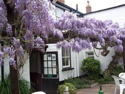 The Bedrooms at Thorverton Arms