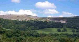 The Bedrooms at Tyn Y Wern Guest Accommodation