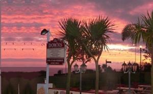 The Bedrooms at The Downs, Babbacombe