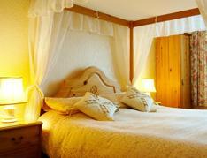 The Bedrooms at Trelawney Hotel - Guest House