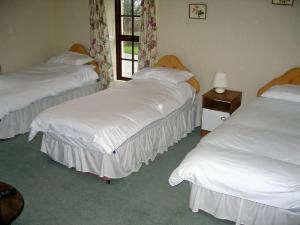 The Bedrooms at Holland Arms Hotel